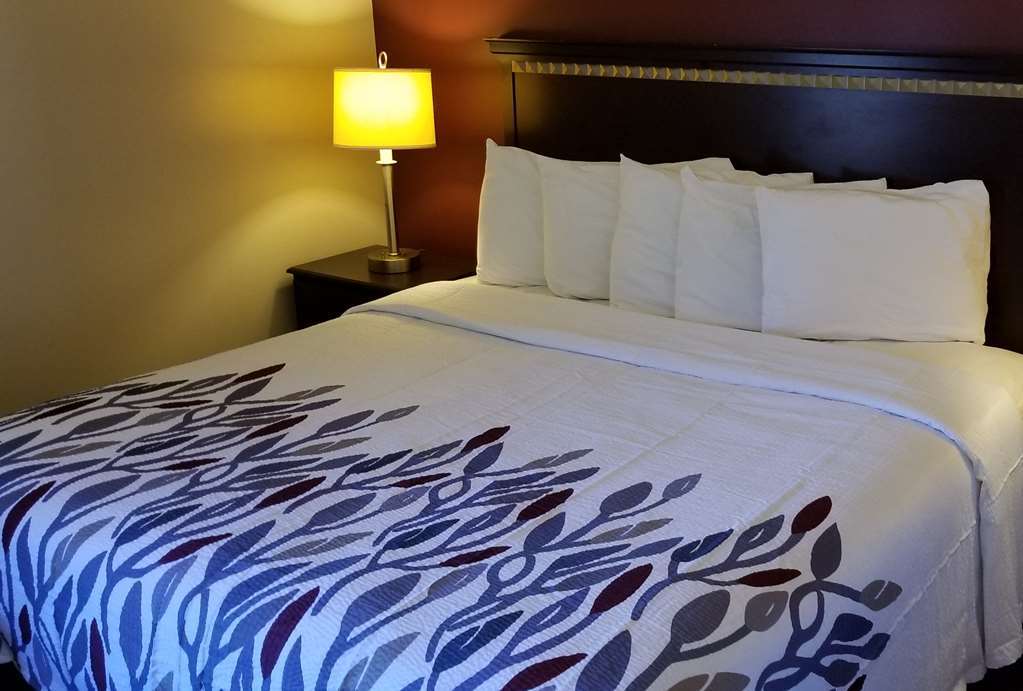 Red Roof Inn & Suites ウィルソン 部屋 写真